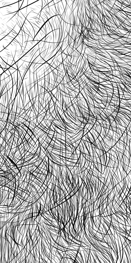 Close up image of Stephen J Cater's beard