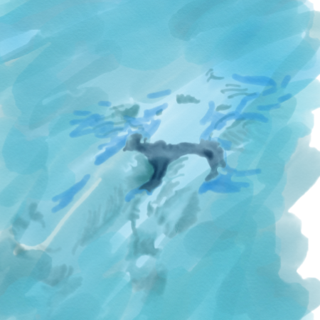 Sinking Steve layer 2